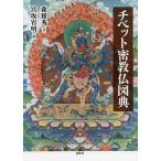 チベット密教仏図典/森雅秀/宮坂宥明