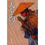 天を灼く/あさのあつこ