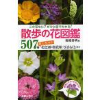 【条件付＋10％相当】散歩の花図鑑　この花なに？がひと目でわかる！　５０７種探しやすい花色別の開花順写真もくじ付き/岩槻秀明【条件はお店TOPで】