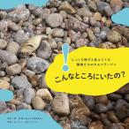  такой место ....? основательно искать . видно ... животное ... камуфляж -ju/. хорошо ./ nature & наука 