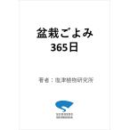  бонсай ...365 день . близко .. дерево .... 4 сезон ... жизнь / соль Цу растения изучение место 
