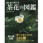  впервые .... чай цветок. иллюстрированная книга каждый .....245 вид / Okabe . Hanaki руководство дерево мыс доверие мужчина . цветок руководство дерево .. растения фотография мир культура фирма 