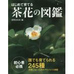 【条件付＋10％相当】はじめて育てる茶花の図鑑　誰でも育てられる２４５種/岡部誠花木指導木崎信男草花指導木原浩植物写真世界文化社