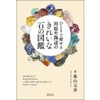 ひとりで探せる川原や海辺のきれいな石の図鑑/柴山元彦