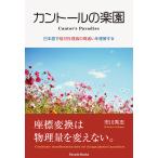  can высокий. приятный . японский язык .. на . теория. ошибка . понимание делать / Ichikawa превосходящий .