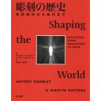 【条件付＋10％相当】彫刻の歴史　先史時代から現代まで/アントニー・ゴームリー/マーティン・ゲイフォード/石崎尚【条件はお店TOPで】