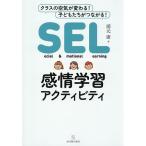 SEL感情学習アクティビティ