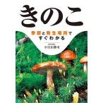 ki. . сезон . появление место . сразу понимать / Komiyama ..