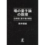  место. квантовый теория. число . классика место . квантовый место. структура / новый . утро самец 