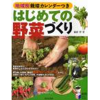 はじめての野菜づくり 地域別栽培カレンダーつき/藤田智