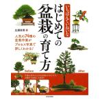 【条件付＋10％相当】いちばんていねいなはじめての盆栽の育て方/広瀬幸男【条件はお店TOPで】