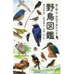 【条件付＋10％相当】街・野山・水辺で見かける野鳥図鑑/柴田佳秀/樋口広芳/戸塚学【条件はお店TOPで】