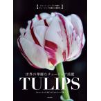  мир. . красота . тюльпан ..TULIPSje-n* East ... тюльпан. история . новейший цветок /je-n* East / Ray che ru*wa-n/. внизу . плата 