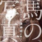 見ているだけで自律神経が整う馬の写真/小林弘幸/村尾昌美