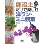  Канумская пемза только . приятный . Ran * Mini . лист /... один 