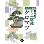  группа ... мини бонсай черный matsu цвет иллюстрация / группа ..