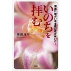 i. .... снег страна .... человек поддержка. цветок ....!/ бог . хорошо flat 