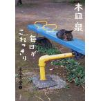 【条件付＋10％相当】木皿食堂　４/木皿泉【条件はお店TOPで】