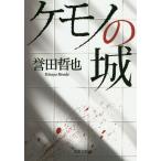 ke моно. замок /. рисовое поле ..