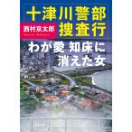  10 Цу река . часть .. line .. Aichi пол . исчезнувший женщина / Nishimura Kyotaro 