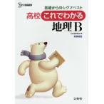  средняя школа это . понимать география B