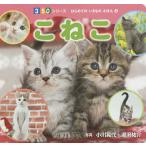 【条件付＋10％相当】こねこ/小川晃代/湯沢祐介/子供/絵本【条件はお店TOPで】