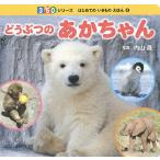 ..... baby / inside mountain ./ child / picture book 