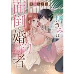 小説きみは面倒な婚約者/兎山もなか