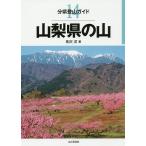 【条件付＋10％相当】山梨県の山/長沢洋【条件はお店TOPで】