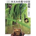 kotsu. понимать! лягушка. видеть присоединение person иллюстрированная книга / сосна . выгода свет 