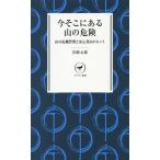  сейчас там есть гора. опасно гора. антикризисное управление . безопасность альпинизм. hinto/ скала мыс изначальный .