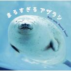 【条件付＋10％相当】まるすぎるアザラシ/桑田知穂【条件はお店TOPで】