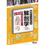 . пол . быть связаны друг с другом анатомия иллюстрации Ray tedo/ сосна ...