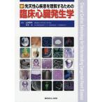  новый . небо . сердце болезнь . понимание делать поэтому. . пол сердце . эмбриология / гора .../ белый камень .