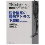 Thiel закон поэтому движение ... задний ..!... группа анатомия Atlas Web анимация есть внизу . сборник / один .../ дерево гора ..