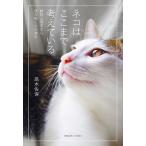  кошка. . волчок . обдумать .. животное психология из считывание .. сердце. эволюция / высота дерево . гарантия 