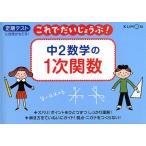 【条件付＋10％相当】中２数学の１次関数　定期テスト【条件はお店TOPで】