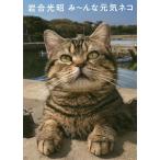 【条件付＋10％相当】岩合光昭み〜んな元気ネコ/岩合光昭/猫びより編集部【条件はお店TOPで】