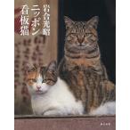  скала . свет . Nippon табличка кошка / скала . свет .