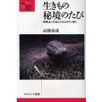  сырой кимоно ... .. земля сверху ... место . роман есть / высота . весна .
