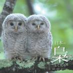 日本の梟/真木広造