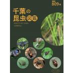  Chiba. насекомое иллюстрированная книга 809 вид / Ooshima . Хара 