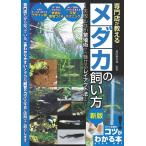  специализированный магазин . объяснить me Dakar. .. person недостаточность не делать размножение . из очарован расположение закон до / черепаха рисовое поле . рыба место 
