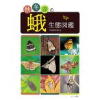  осень-зима весна. . сырой . иллюстрированная книга / сейчас . первый Taro 