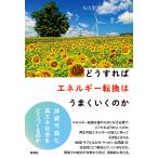.. если так энергия преобразование. хорошо ... ./ Maruyama ../ запад замок дверь .