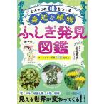 かんさつの眼をつくる身近な植物ふしぎ発見図鑑/岩槻秀明