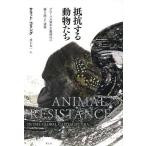  сопротивление делать животное .. свечение bar .книга@ принцип времена. вид . превышен полосный obi / Sara to*ko кольцо / Inoue Таичи 