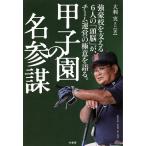  Koshien. название три ./ большой выгода реальный /. земля высота ./ средний .. глава 