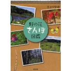 .. цветок san . иллюстрированная книга / Hasegawa . самец 