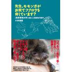 . сырой, Momo nga.... сова .. делает?/ Kobayashi . дорога 